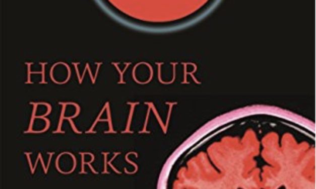 How Your Brain Works