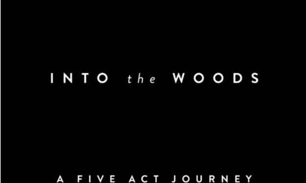 Into The Woods: How Stories Work and Why We Tell Them