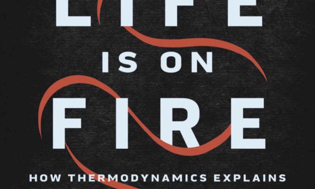 Every Life is on Fire: How Thermodynamics Explains the Origins of Living Things