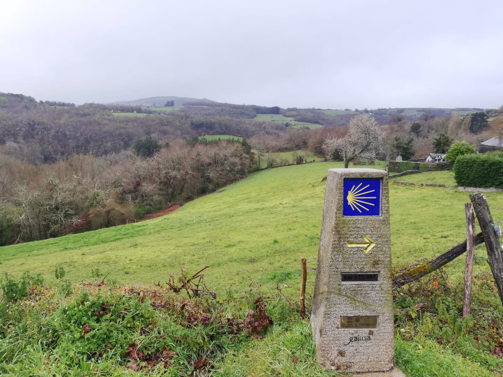 Milestone in Galicia