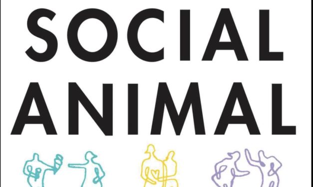 The Social Animal: A story of how success happens