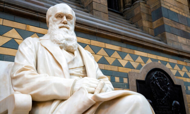 Resources: Darwin and the Theory of Evolution