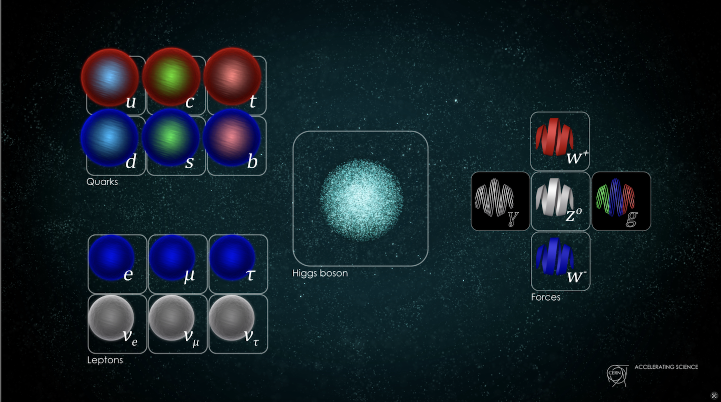 CERN's visualisation of the Standard Model for Particle Physics