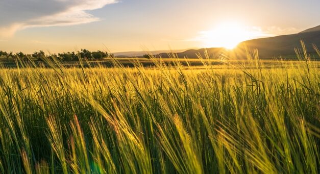 Reading the Spirit, Not the Blurb: A Reflection on N. T. Wright’s “Spiritual and Religious”