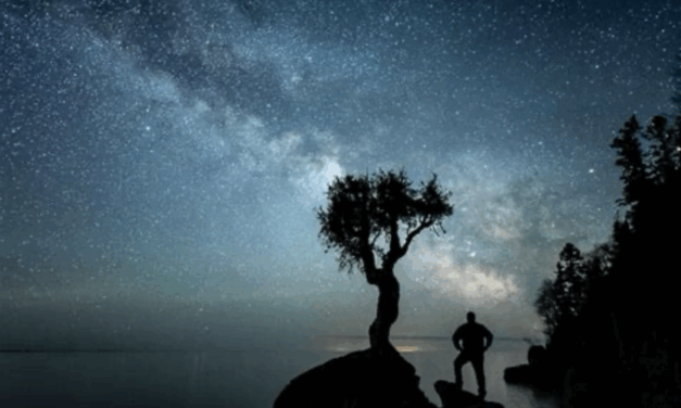 What if Consciousness Isn’t Humanity’s Crown, but Our Bridge to Earthly and Cosmic Kin?