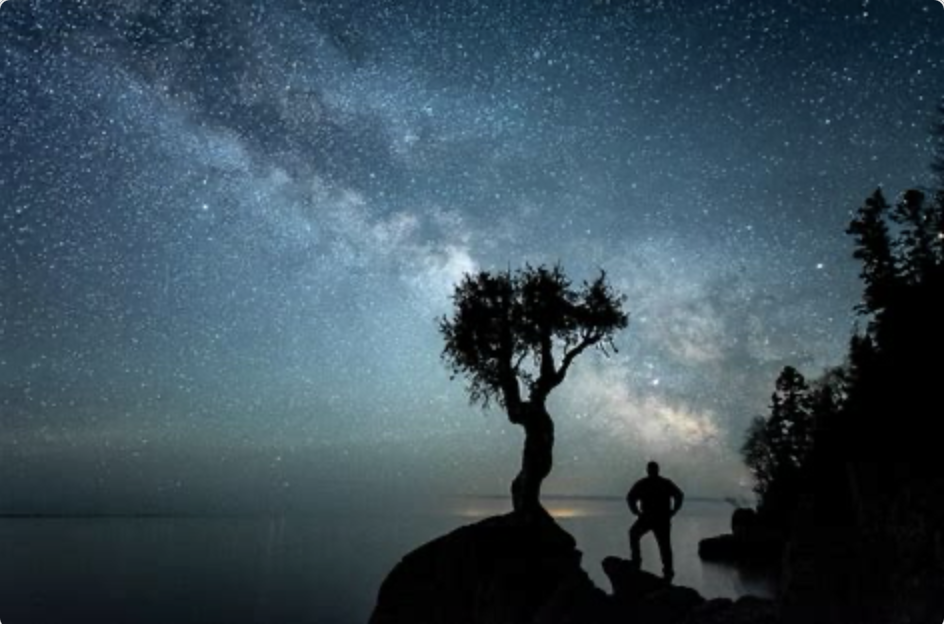 What if Consciousness Isn’t Humanity’s Crown, but Our Bridge to Earthly and Cosmic Kin?