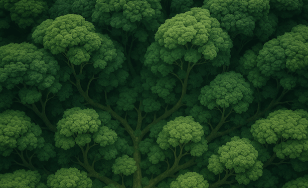 Growing Up or Scaling Down: A Developmental Alternative to Degrowth