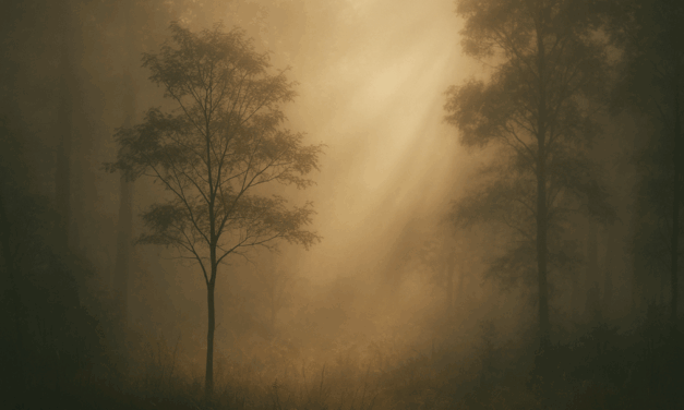 The Voice Struggling to be Heard