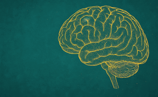 The Documentary That Raises Questions It Cannot See: What ‘Secrets of the Brain’ Might Reveal About How We Think About Thinking