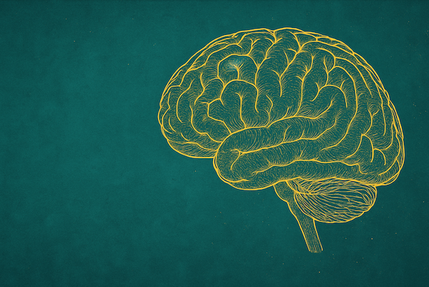 The Documentary That Raises Questions It Cannot See: What ‘Secrets of the Brain’ Might Reveal About How We Think About Thinking
