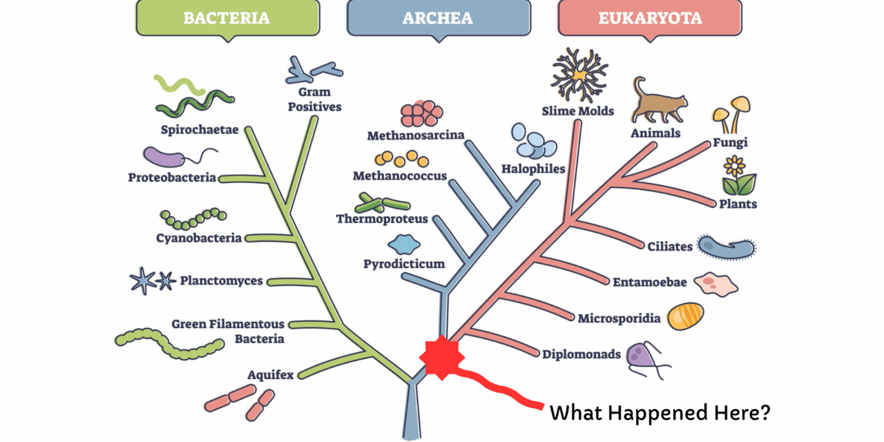 Every Life Matters: Symbiosis, Elderhood, and the Intelligence That Evolves Through Relationship
