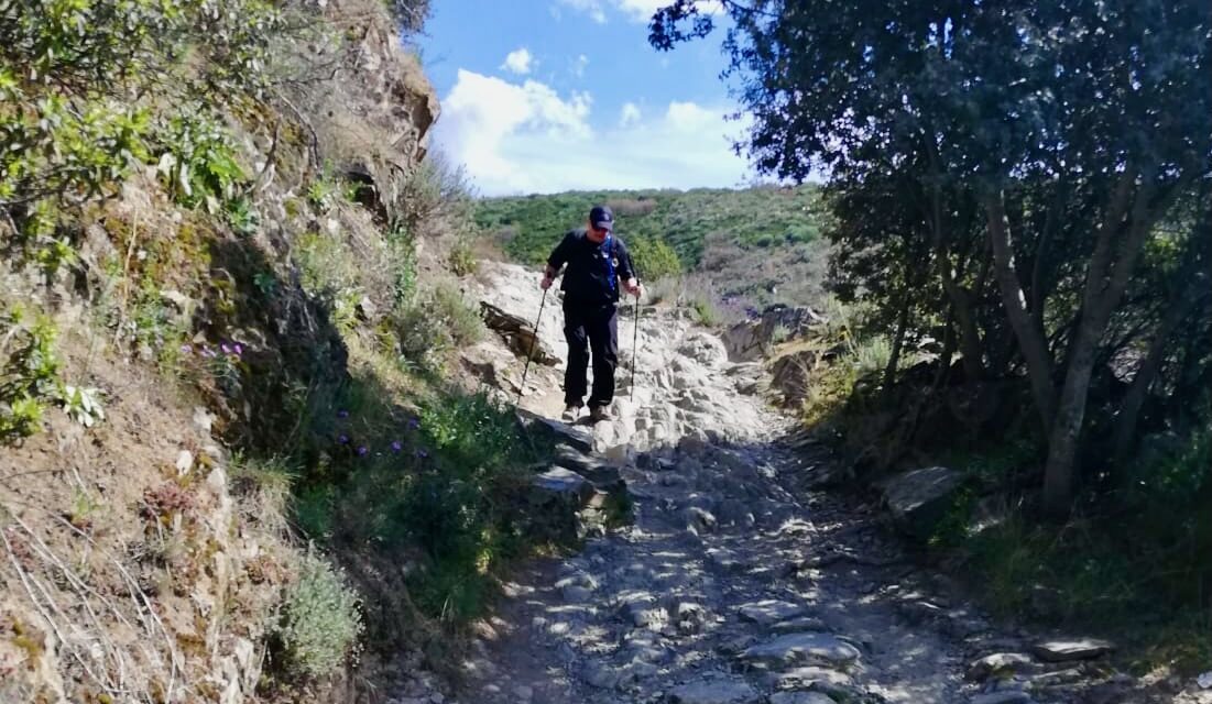 The Path That Was Walked