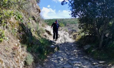 The Path That Was Walked